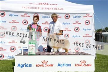 181564_kar_01__62_8193.JPG