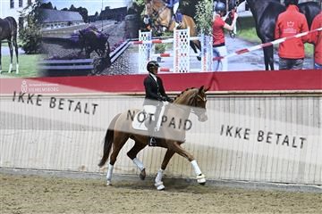 182241_kbb_01_Z093749.JPG
