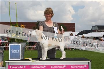 130370_le_02_IMG_8616.JPG