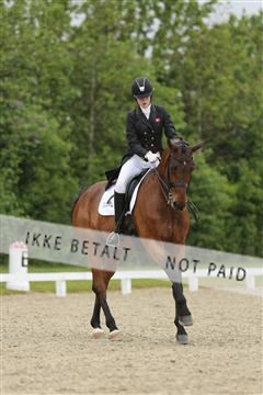 139835_sg_01_IMG_8358.JPG