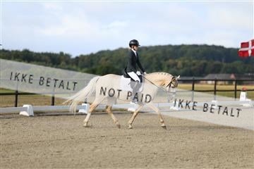 181894_mtp_04_R62_3133.JPG