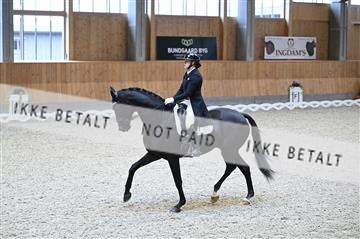 182176_kbb_01_Z094426.JPG