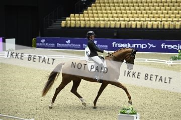 182194_kbb_01_Z095581.JPG