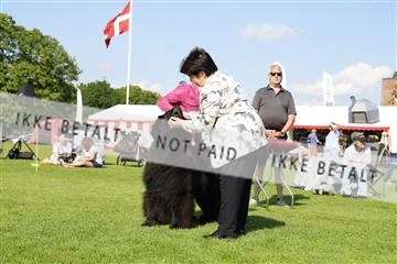 181564_kar_01__62_7311.JPG