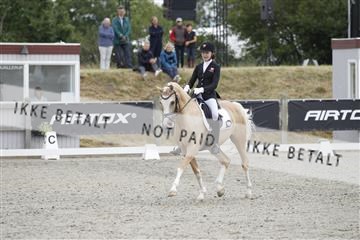 166078_rhj_01__J7R2831.JPG