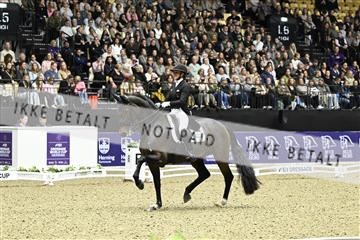 182194_kbb_03_Z092431.JPG