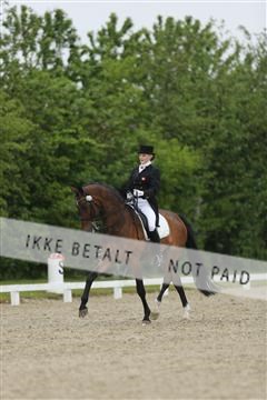 139835_sg_03_IMG_9173.JPG