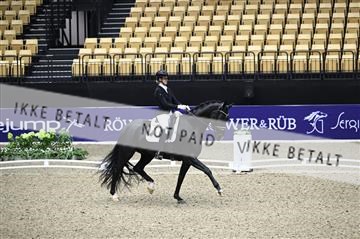 182194_kbb_01_Z095280.JPG