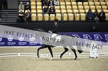 182194_kbb_01_Z096251.JPG
