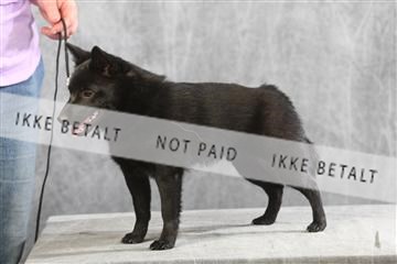 129608_le_ 01_0640.JPG