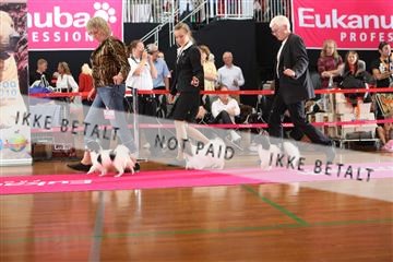 6068_ma_05_IMG_5543.JPG