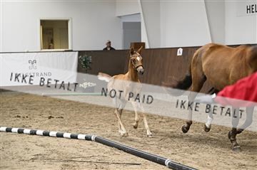 181739_kbb_01_Z092071.JPG