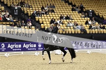 182194_kbb_03_Z090363.JPG