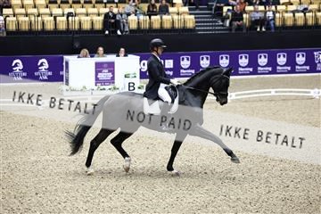 182194_avh_05_2062.JPG