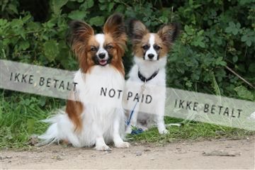 130370_se_01_IMG_5356.JPG