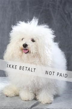 130054_le_ 01_0235.JPG