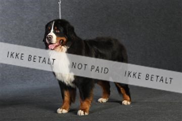 132082_le_ 01_IMG_0870.JPG