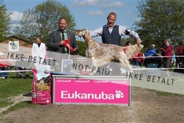 134871_ms_01_IMG_4017.JPG