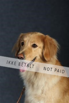 132082_le_ 01_IMG_0674.JPG