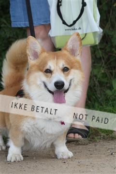 130370_se_02_IMG_5534.JPG