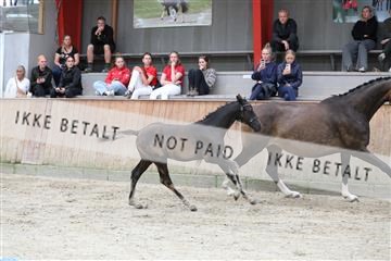 181868_mtp_03_R62_5628.JPG