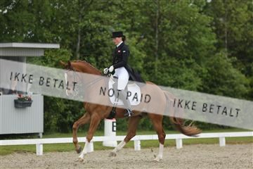 139835_sg_03_IMG_9072.JPG