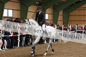 139265_kl_1_8M1Q6336.JPG