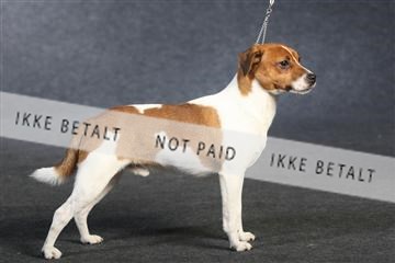 132082_le_ 01_IMG_0992.JPG