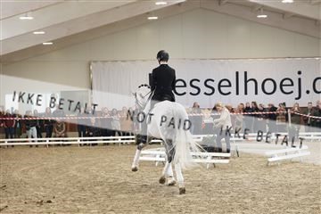 174363_kbb_01_R6II8774.JPG