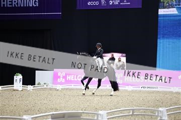 182194_avh_07_4353.JPG