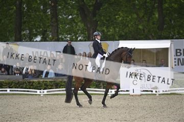 181449_kbb_04_Z094929.JPG