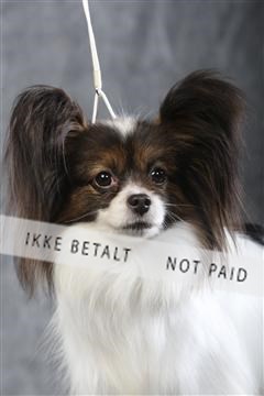 129608_le_ 01_0445.JPG