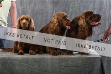 129608_le_ 01_0747.JPG