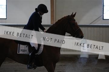 139267_kl_1_8M1Q6599.JPG