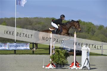 139644_abo_02__AB14544.JPG