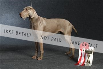 132082_le_ 01_IMG_1539.JPG