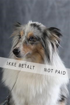 129608_le_ 01_0901.JPG