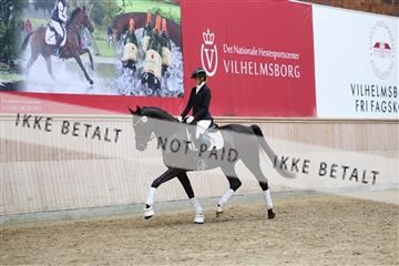 181887_mtp_04_R62_9138.JPG