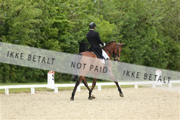 139835_sg_01_IMG_7811.JPG