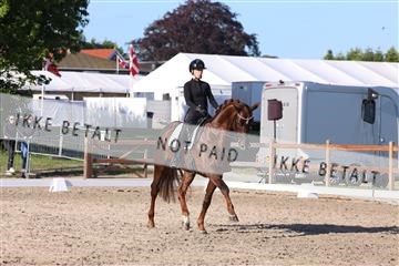 181449_bc_01R62_6375.JPG