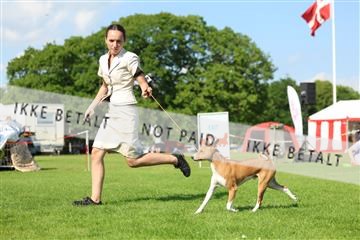 181564_rin_01_R62_0569.JPG