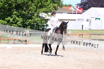 181449_bc_01R62_5757.JPG