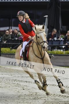 139644_abo_04__AB15379.JPG