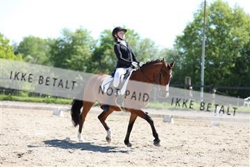 168732_mtp_01_3M5A6830.JPG