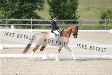 172030_mtp_01_3M5A1470.JPG