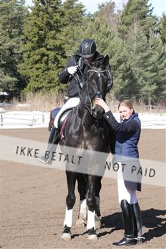 139267_kl_1_8M1Q6685.JPG