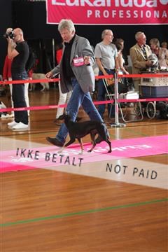 6068_ma_05_IMG_5985.JPG