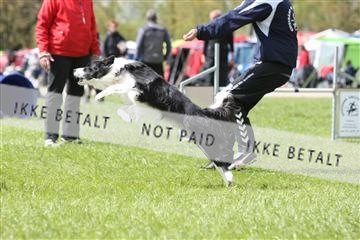 134871_ms_04_IMG_0112.JPG