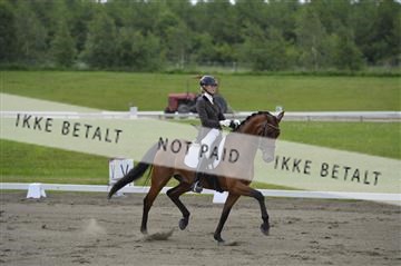 140040_abo_01__AB17511.JPG