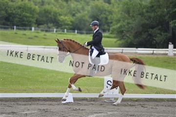 140040_abo_01__AB16256.JPG